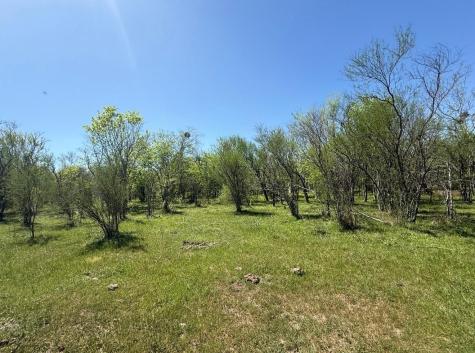 10542 Walker Road Beasley TX 77417