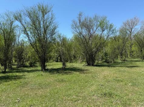 10542 Walker Road Beasley TX 77417