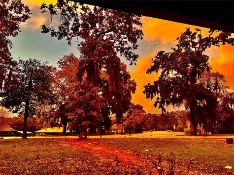 77 Hillsborough Drive Huntsville TX 77340