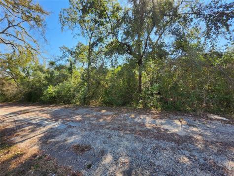 0 Buck Lane Hempstead TX 77445