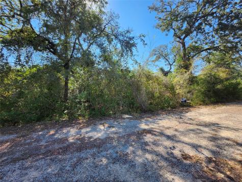 0 Buck Lane Hempstead TX 77445