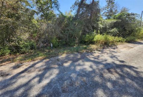 0 Buck Lane Hempstead TX 77445