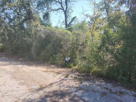 0 Buck Lane Hempstead TX 77445