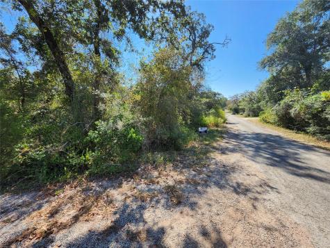 0 Buck Lane Hempstead TX 77445