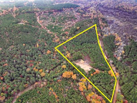 00 County Road 1651 Avinger TX 75630