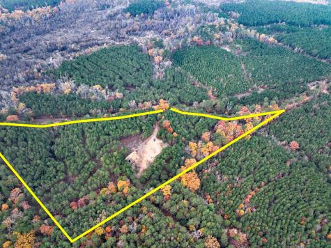 00 County Road 1651 Avinger TX 75630