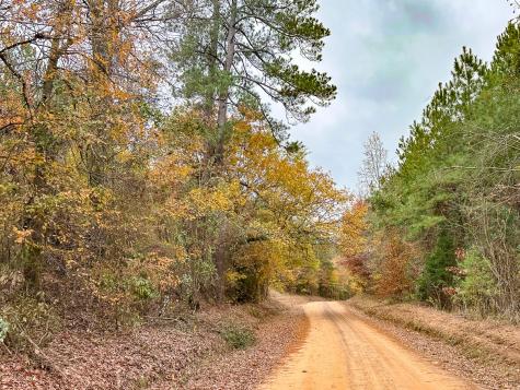 00 County Road 1651 Avinger TX 75630