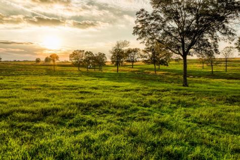 Lot 20 Sunny Meadow Drive Chappell Hill TX 77426