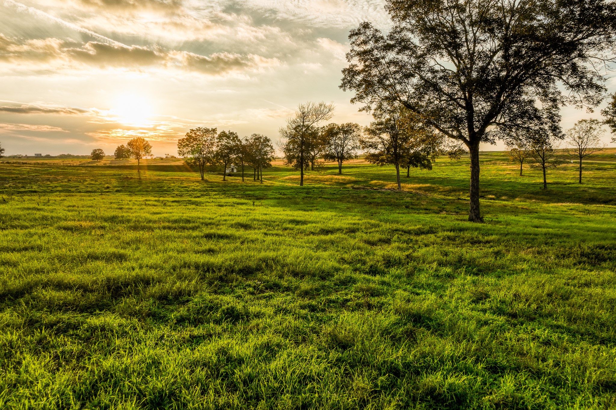 Lot 20 Sunny Meadow Drive Chappell Hill TX 77426