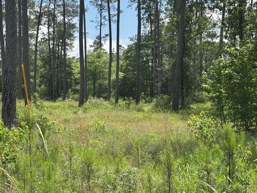 008 Private Road 6028 Tract 1-8 Brookeland TX 75931