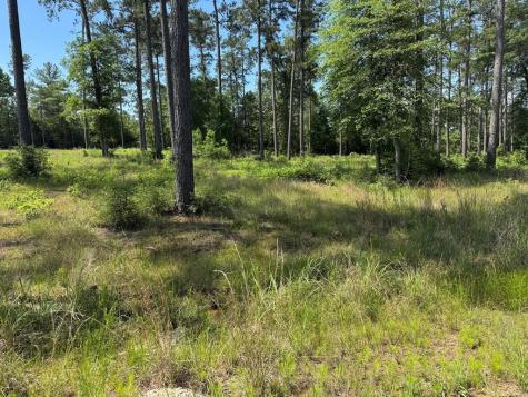 008 Private Road 6028 Tract 1-8 Brookeland TX 75931