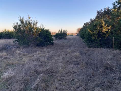 6625 County Road 214 Hico TX 76457