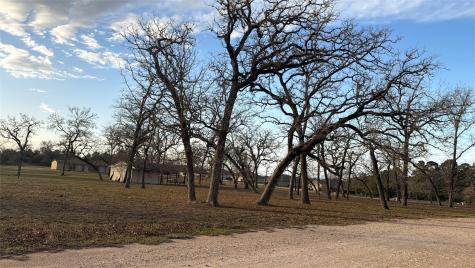26667 Deerwood Drive Hempstead TX 77445