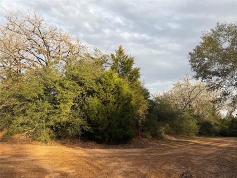 26667 Deerwood Drive Hempstead TX 77445