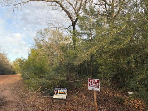 26667 Deerwood Drive Hempstead TX 77445