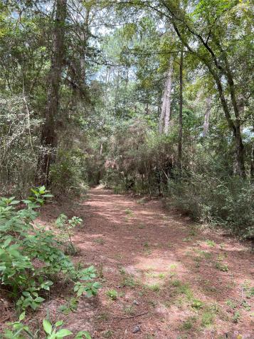 0000 Evergreen Lot 7 Fm 362-2 Road Waller TX 77484