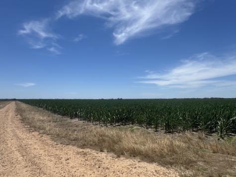 Tbd Cr 335 Road Louise TX 77455