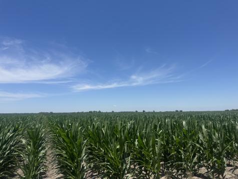 Tbd Cr 335 Road Louise TX 77455