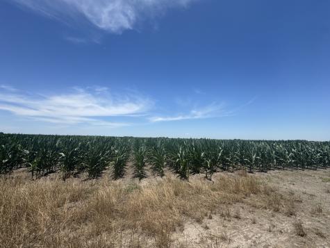 Tbd Cr 335 Road Louise TX 77455