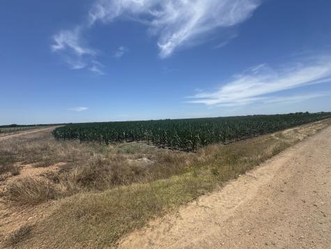 Tbd Cr 335 Road Louise TX 77455