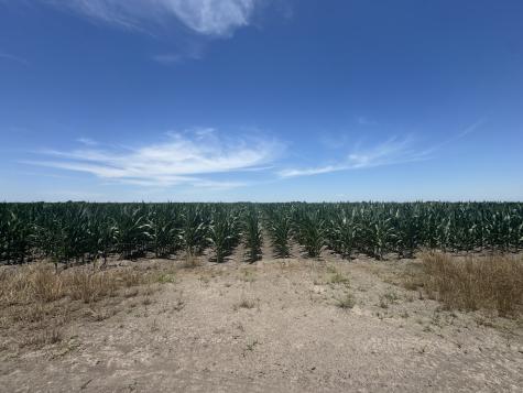 Tbd Cr 335 Road Louise TX 77455