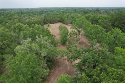Tbd County Road 3470 E Lovelady TX 75851