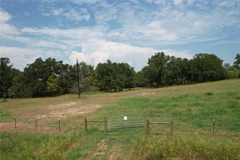 Tbd County Road 3470 E Lovelady TX 75851
