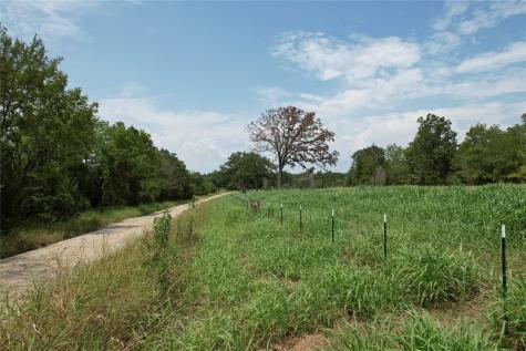 Tbd County Road 3470 E Lovelady TX 75851