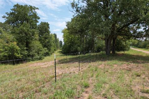 Tbd County Road 3470 E Lovelady TX 75851