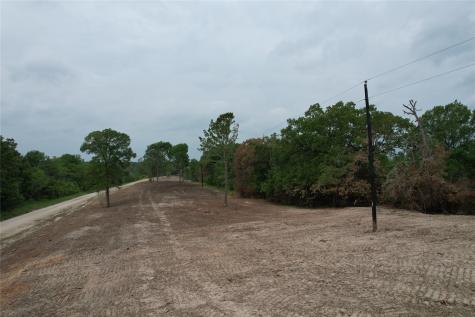 Tbd County Road 3470 E Lovelady TX 75851