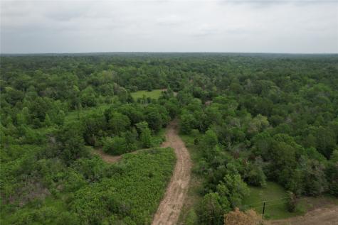 Tbd County Road 3470 E Lovelady TX 75851