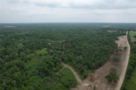 Tbd County Road 3470 E Lovelady TX 75851
