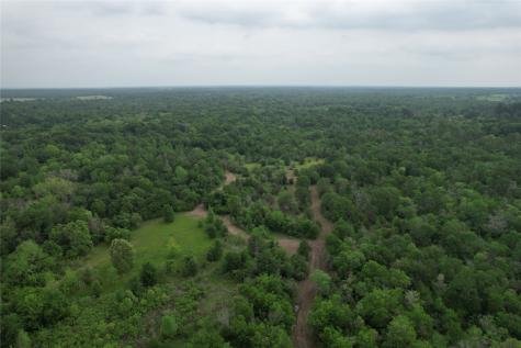 Tbd County Road 3470 E Lovelady TX 75851