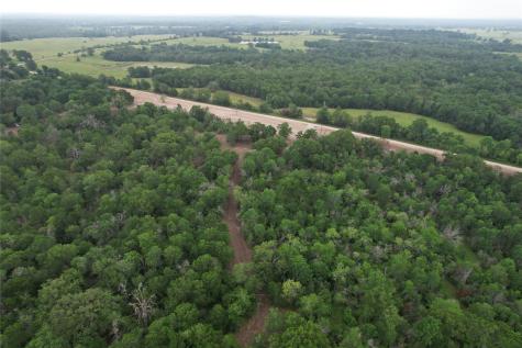 Tbd County Road 3470 E Lovelady TX 75851