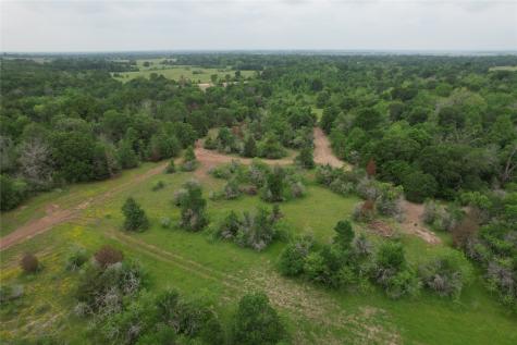 Tbd County Road 3470 E Lovelady TX 75851