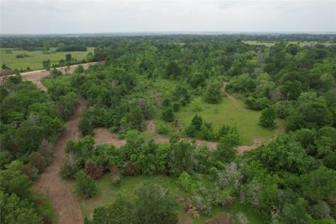 Tbd County Road 3470 E Lovelady TX 75851