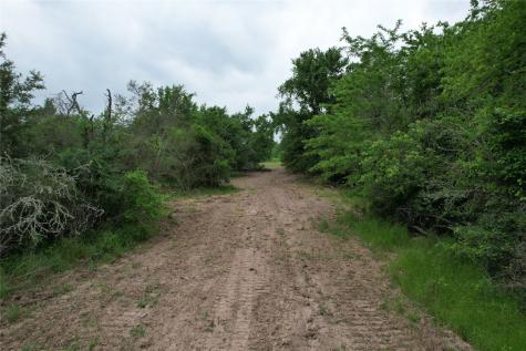 Tbd County Road 3470 E Lovelady TX 75851