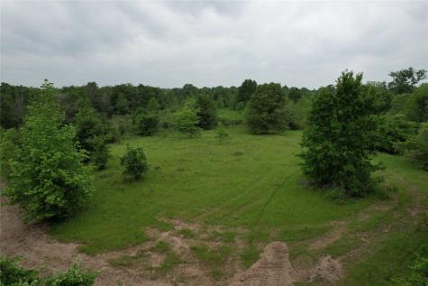 Tbd County Road 3470 E Lovelady TX 75851