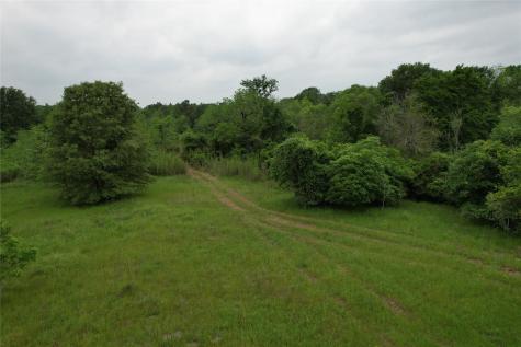 Tbd County Road 3470 E Lovelady TX 75851