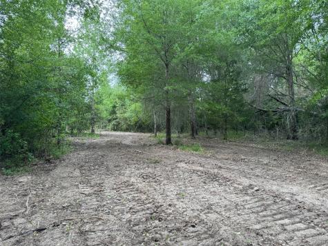 Tbd County Road 3470 E Lovelady TX 75851