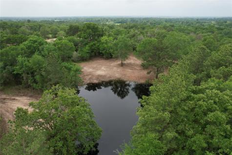 Tbd County Road 3470 E Lovelady TX 75851