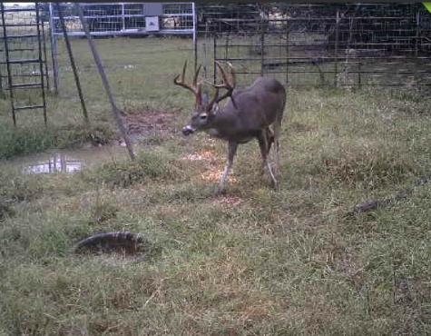 Tbd County Road 3470 E Lovelady TX 75851