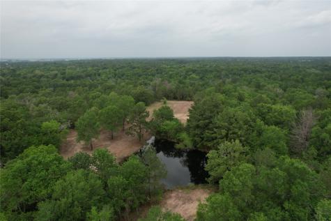 Tbd County Road 3470 E Lovelady TX 75851