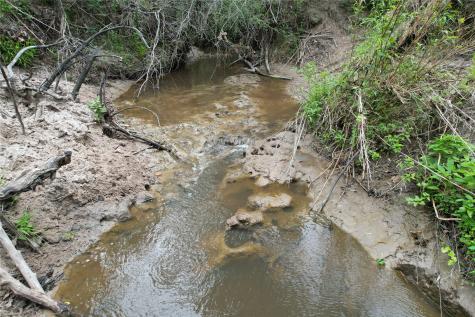 Tbd County Road 3470 E Lovelady TX 75851