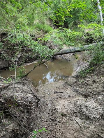 Tbd County Road 3470 E Lovelady TX 75851