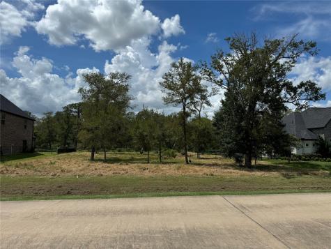 1014 Royal Lakes Manor Boulevard Richmond TX 77469