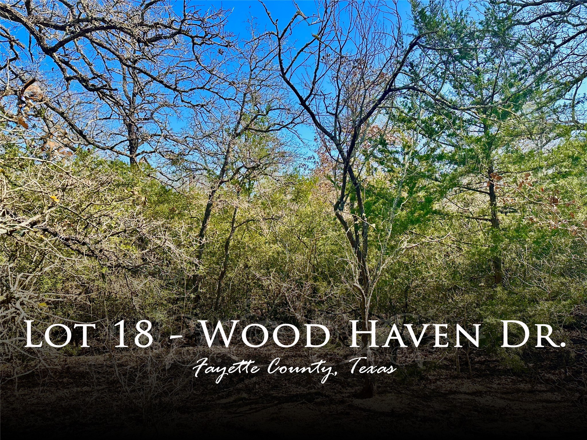0 Wood Haven Drive Waelder TX 78959