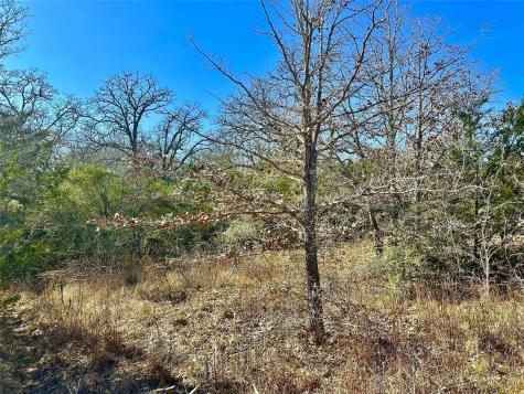 0 Wood Haven Drive Waelder TX 78959