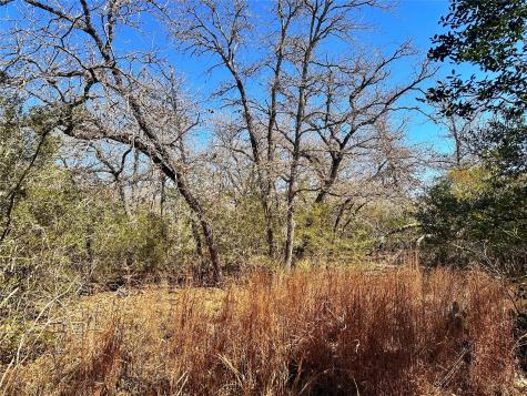 0 Wood Haven Drive Waelder TX 78959