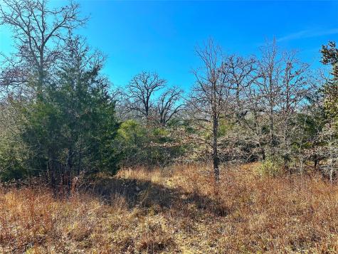 0 Wood Haven Drive Waelder TX 78959